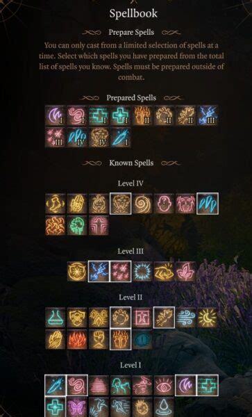 druid number of prepared spells|How do you figure out the max amount of spells that can be .
